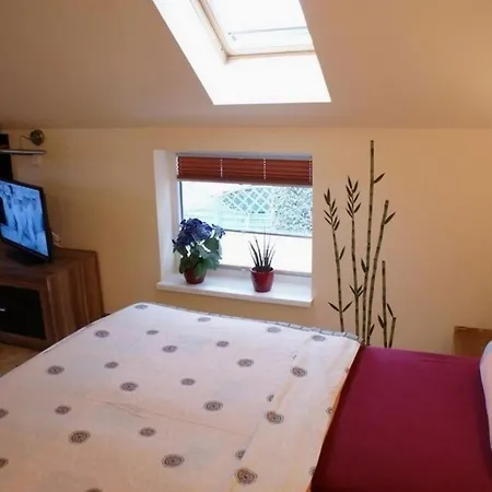 Spiegelberg - Abc49 *